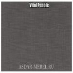 Vital Pebble